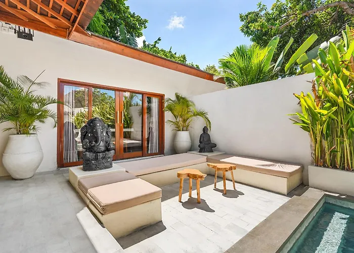 Tropical Complex