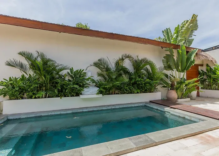 Tropical Complex